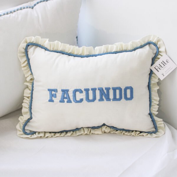 Cojin nombre personalizado (10 dias para entrega)
